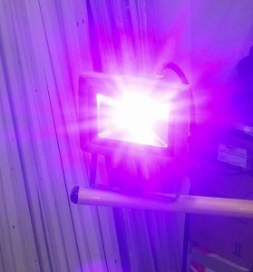 Halogen LED UV Ultrafiolet